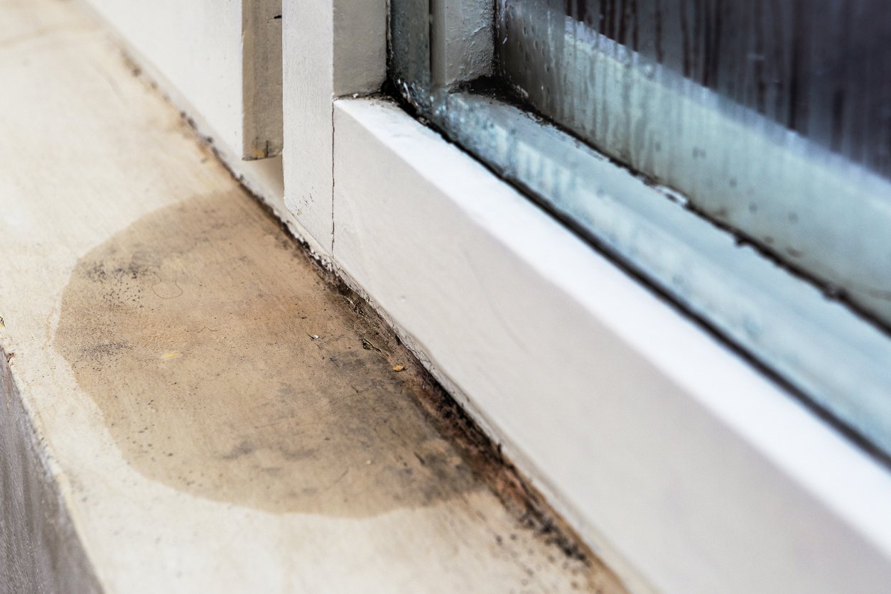 Foundation and structural repair assessment